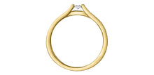 Load image into Gallery viewer, Bridge Over Water Ring Profile
