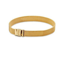 Load image into Gallery viewer, Pandora Shine Reflexions Mesh Bracelet - Fifth Avenue Jewellers
