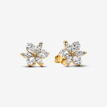 Load image into Gallery viewer, Pandora Sparkling Herbarium Cluster Stud Earrings - Fifth Avenue Jewellers