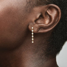 Load image into Gallery viewer, Pandora Sparkling Stones Drop Earrings - Fifth Avenue Jewellers