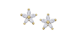Diamond Star Stud Earrings Fifth Avenue jewellers