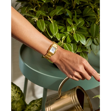 Load image into Gallery viewer, Hand with gold watch watering a plant next to a green pot

