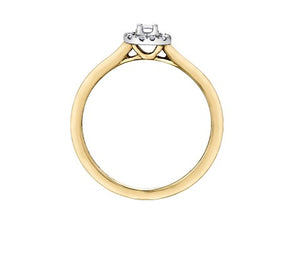 Ring in profile