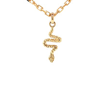Load image into Gallery viewer, Tiny Snake Pendant on chain
