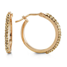Load image into Gallery viewer, Bella Rose Sparkle Hoops
