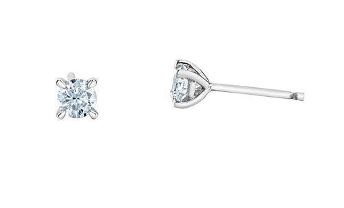Diamond Stud Earrings In White Gold .50ct - Fifth Avenue Jewellers