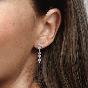 Pandora Sparkling Herbarium Cluster Drop Earrings - Fifth Avenue Jewellers