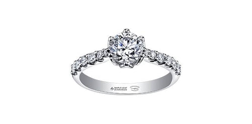 Seasons Canadian Diamond Solitaire Ring - Fifth Avenue Jewellers